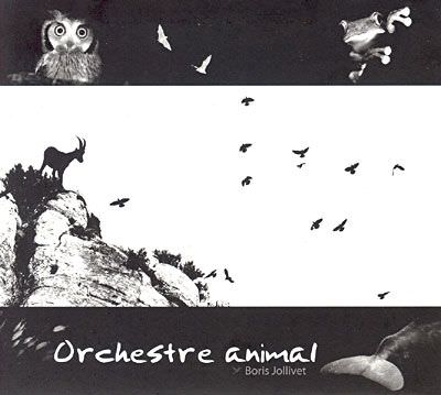 Orchestre Animal