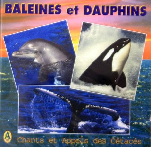Whales and Dolphins