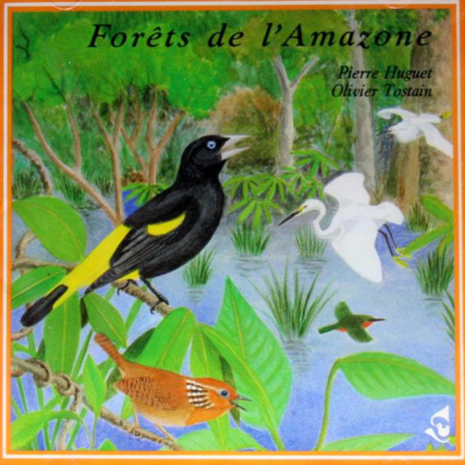 Forests of the Amazon