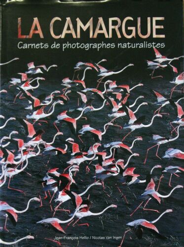 La camargue