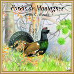 CD - Forêts de Montagnes