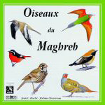 CD Guide sonore des Oiseaux du Maghreb