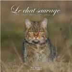 Le chat sauvage, les yeux dans les yeux
