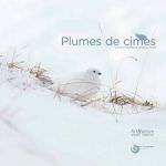 Plumes de cimes