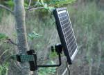 PACK - Panel solar para foto trampa - 6, 9 o 12V + Soporte de montaje contra árbol SIN TORNILLOS