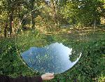 Transparent dish