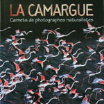 La camargue
