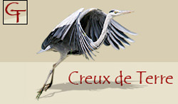 Creux de Terre