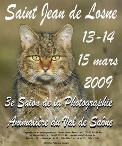 Festival du Val de Saone