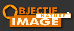 Le site de Claude NARDIN