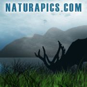 Naturapics