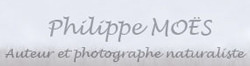 Le site de Philippe MO&Euml;S