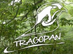 Trapogan Asie