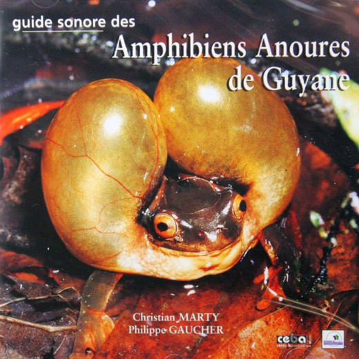 Chants des grenouilles, rainettes et crapauds de France (CD audio)
