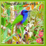 CD Jungles des Iles Célèbes