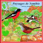 CD Paysages de Namibie