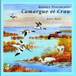 The Camargue and the Crau