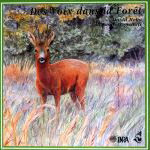 CD Des Voix dans la Forêt
