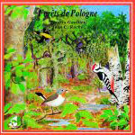 CD FORETS DE POLOGNES (FA684)