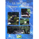 La Loutre, frisson de l'onde