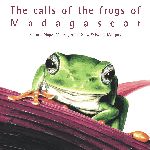 The calls of the frogs of Madagascar