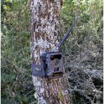 Scouting Trail Camera CAMELEON