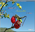 CD Chants des sauterelles de France (NAT0311)