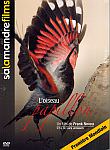 DVD - Salamandre :L'oiseau papillon