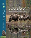 L'ours brun