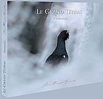 Le Grand Tétras - Pyrénées