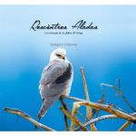 Rescòntres Aladas - Les oiseaux de la plaine d'Ariège