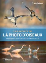 Los secretos de la FOTOGRAFÍA DE AVES - Erwan Balança