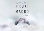 PROXI et MACRO Photograhie, les plus belles images de l'année - Edition 2025