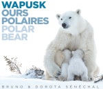 WAPUSK – OURS POLAIRES  - de Bruno & Dorota Sénéchal