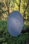 Windscreen for TELINGA satellite dish