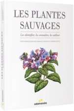 LES PLANTES SAUVAGES - Les identifier, les connaître, les utiliser