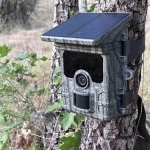 Piège photo SOLAIRE WI-FI 112MP & 4K