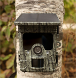 Piège photo SOLAIRE WI-FI 4K