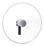 TELINGA - Kit de micrófono parabólico estéreo XLR