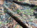 TRAGOPAN - Tissu polyester 150D induction - au mètre