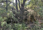 TRAGOPAN - 2 PLY Camouflage Netting