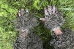 TRAGOPAN - Sur-gants ghillie
