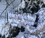 TRAGOPAN - Camo 3D sleeve for LARGE telephoto lens - SNOW