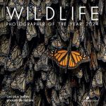 WILDLIFE PHOTOGRAPHER OF THE YEAR - 2024