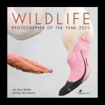 FOTÓGRAFO DE VIDA SILVESTRE DEL AÑO - 2025